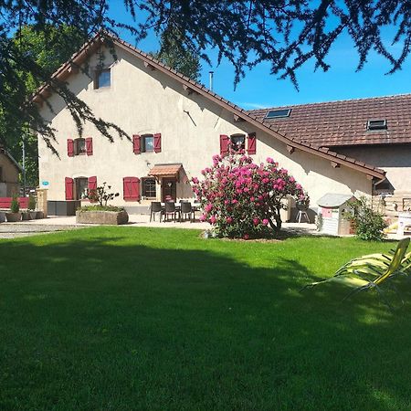 Gite Belle Fleur 6 Personnes- Vosges Saint-Nabord Esterno foto