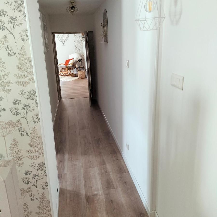 Gite Belle Fleur 6 Personnes- Vosges Saint-Nabord Esterno foto