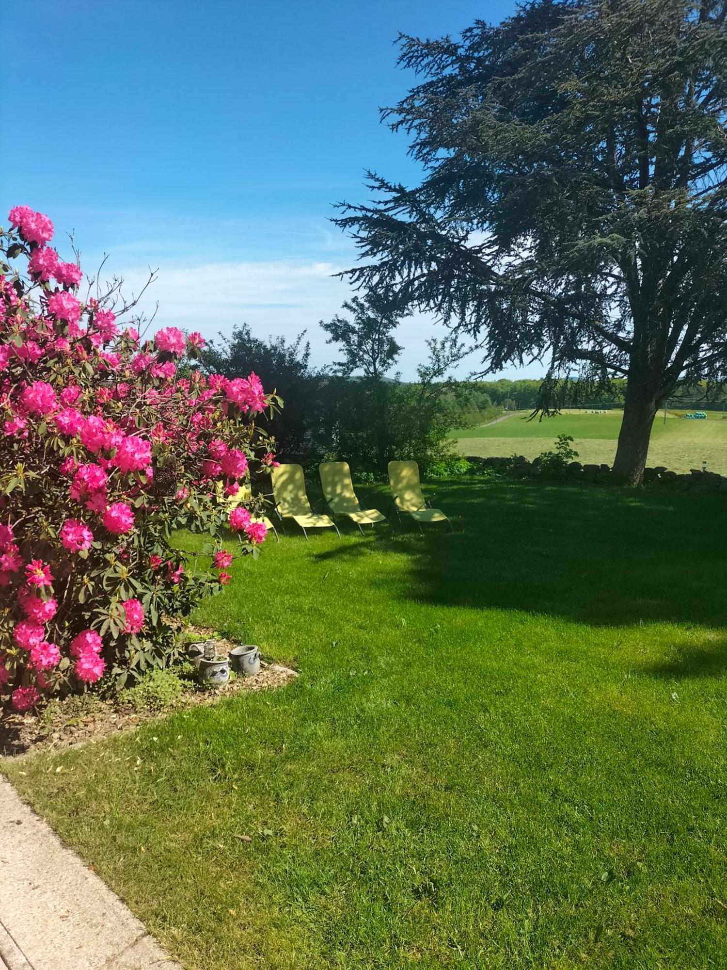 Gite Belle Fleur 6 Personnes- Vosges Saint-Nabord Esterno foto